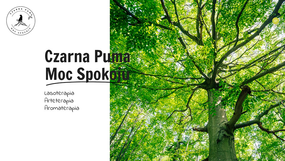 Czarna Puma Moc Spokoju - Lasoterapia Arteterapia Aromaterapia - czarnapuma.pl